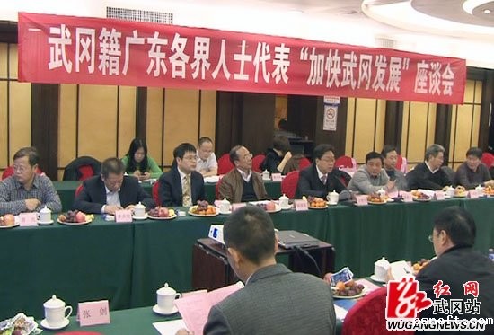 加快武冈发展大家谈.jpg